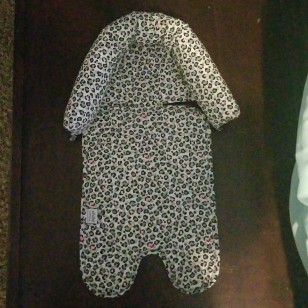 Carseat positioner